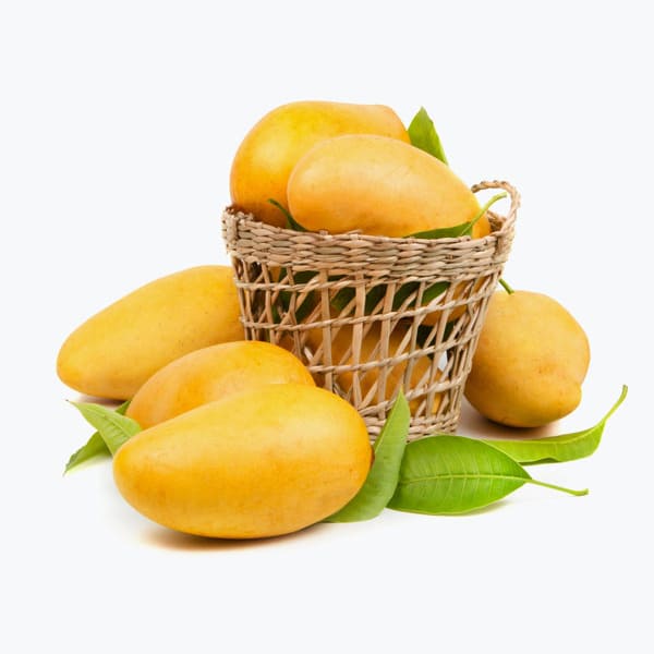 Product From Vendor